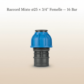 Raccord Mixte ø25 × 3/4" Femelle — 16 Bar