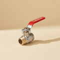 Vanne à boisseau sphérique - SIDER - PN40/DN15 - MF 1/2"